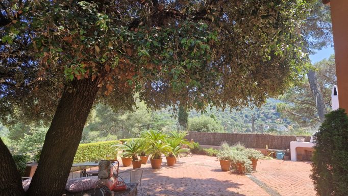patio zona de descanso