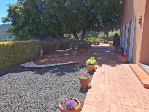 Entrada patio delantero